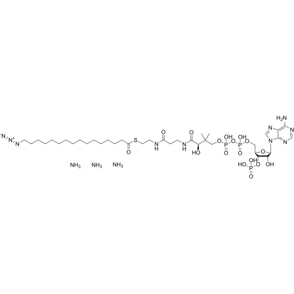 16-Azidohexadecanoyl-CoA triammonium 2260670-37-7